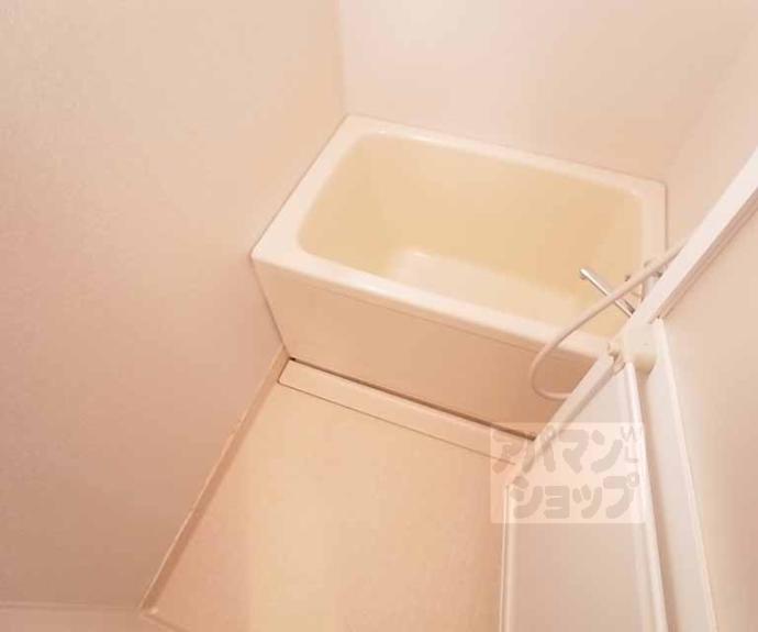 【サンフローラ桂】間取