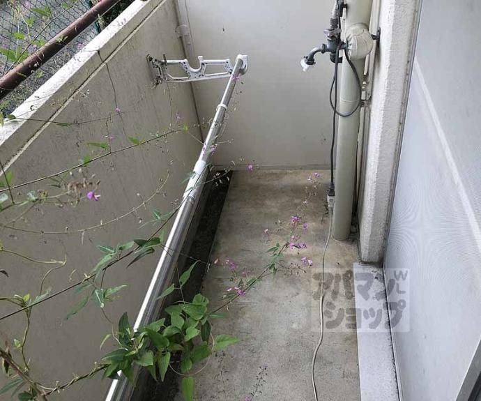 【サンモール林】間取