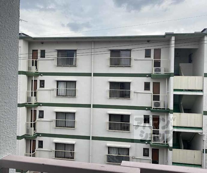 【シャトレーヌ桂】間取