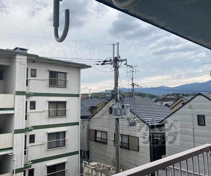 【シャトレーヌ桂】間取