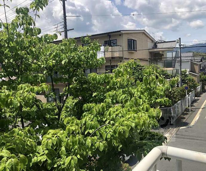 【スイーツ山路】間取