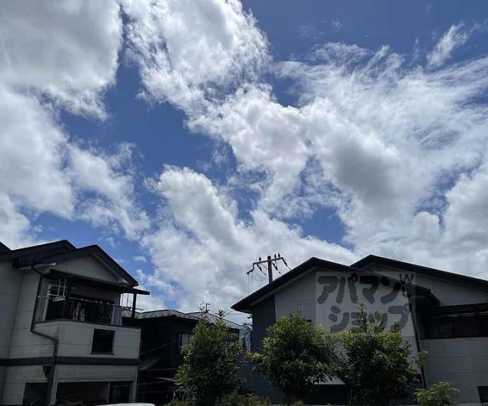 【セジュール桂坂】間取