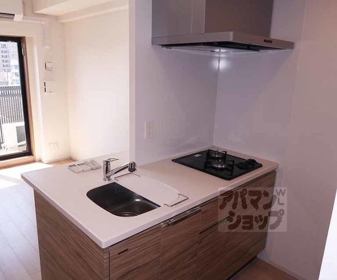 【ベラジオ雅び西大路七条】間取