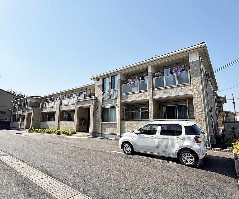 ハイビスカス　Ⅲ