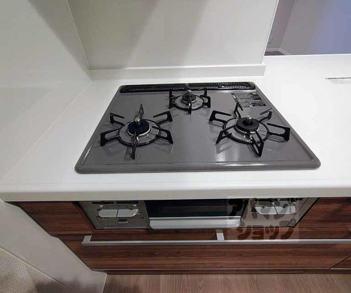 【エクレール　ヴェール　シャーメゾン西院】間取