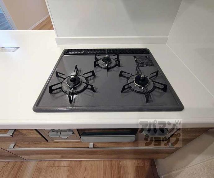 【エクレール　ヴェール　シャーメゾン西院】間取