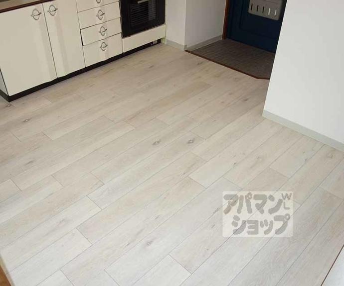 【ドルフィンⅡ】間取