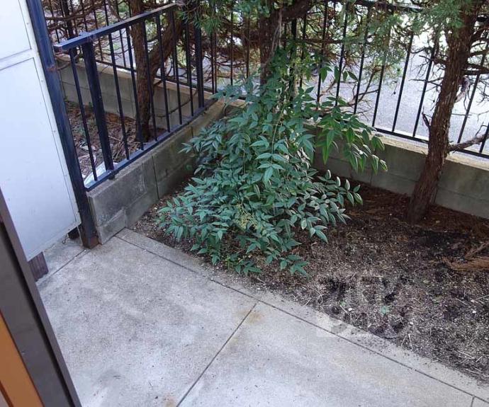 【ニュー芝ノ下ハイツ】間取