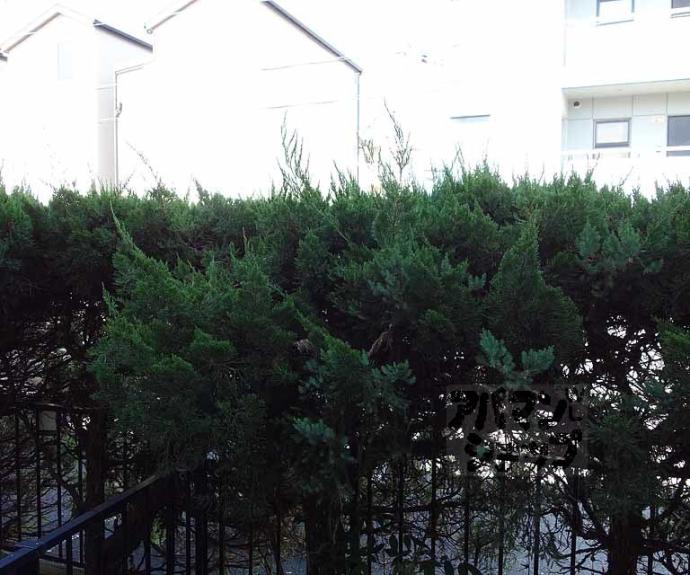 【ニュー芝ノ下ハイツ】間取