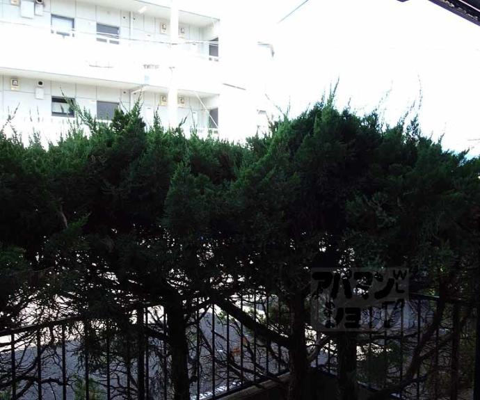 【ニュー芝ノ下ハイツ】間取