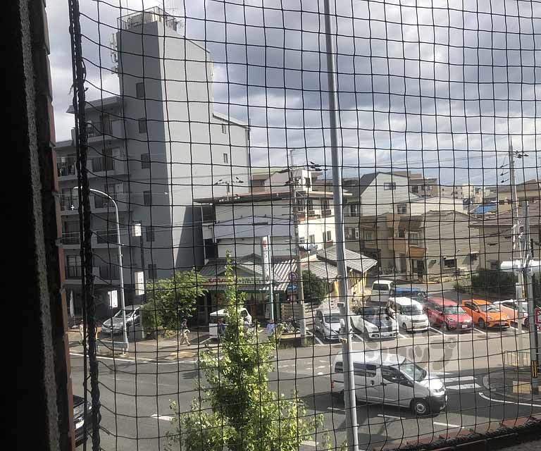 【ハイツ藤】間取
