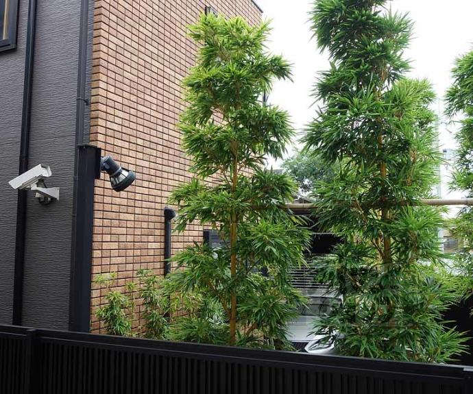 【コリーナ島坂】間取