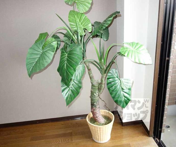 【エミネント上桂】間取