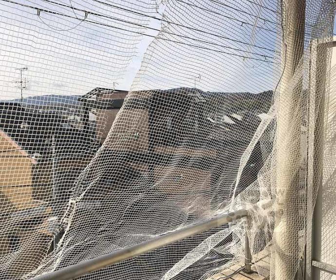 【ベスト・サークル】間取