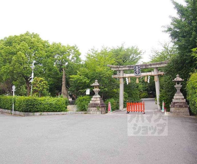 【プレサンス　ＴＨＥ　ＫＹＯＴＯ　吉祥院】間取