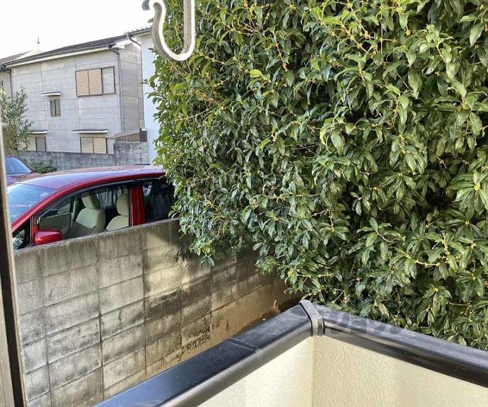 【ミネアポリス】間取