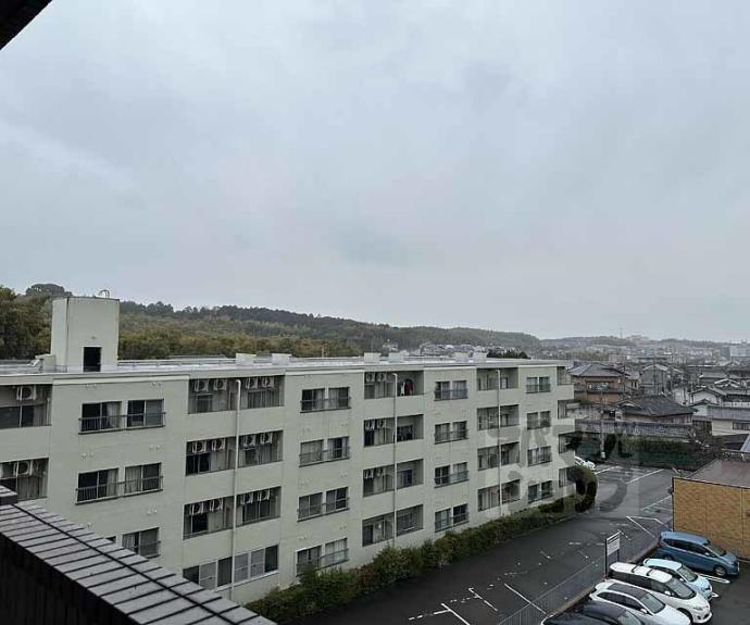 【メゾン・ド・リッツ】間取