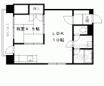 セント一香：202