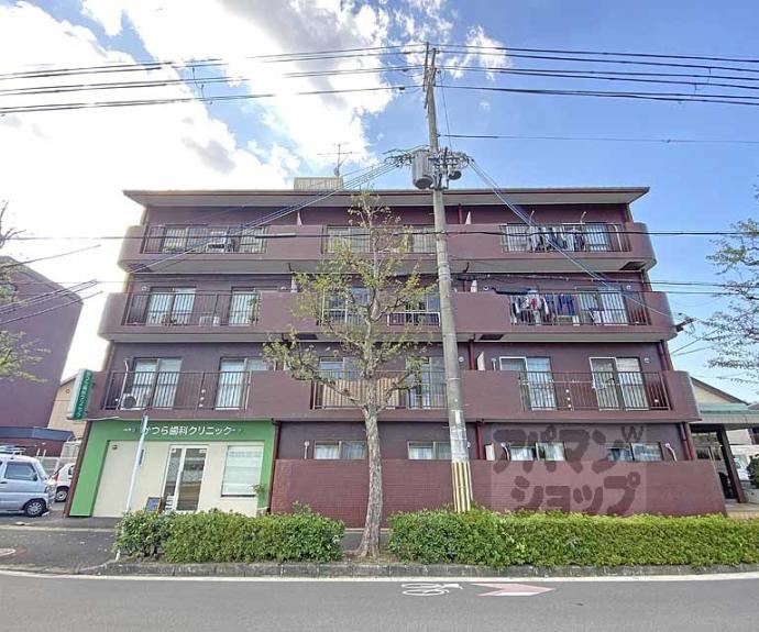 【ロココ桂】間取