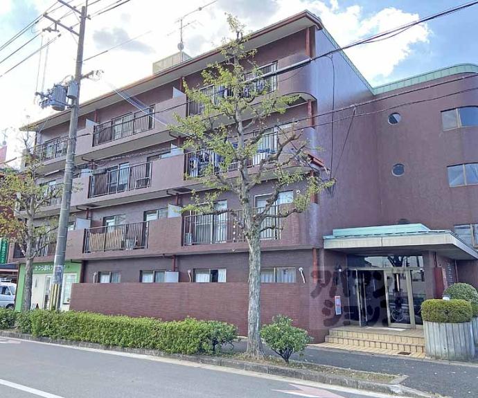 【ロココ桂】間取
