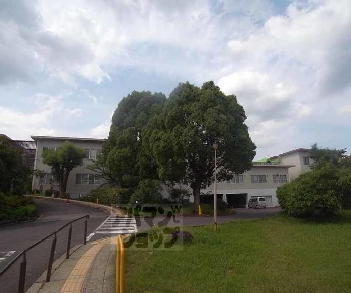 【嵯峨野マンション】間取