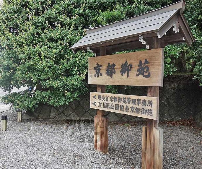 【サンゴッホ御所南】間取