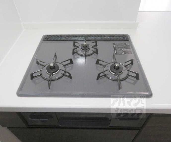 【シャーメゾン西ノ京】間取