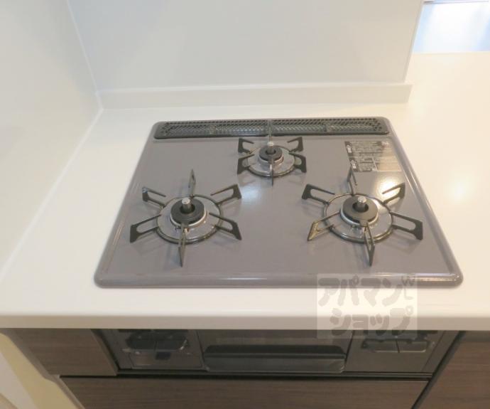 【シャーメゾン西ノ京】間取