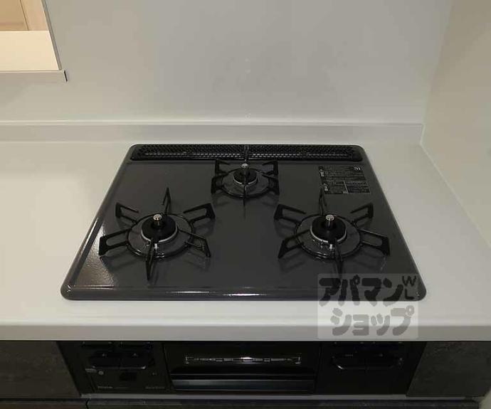 【グレーヌ東寺】間取