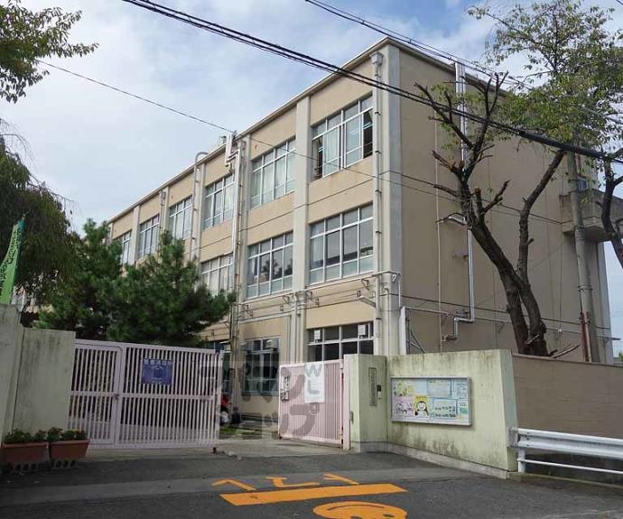 【セゾンＣＯＣＯＮ】間取