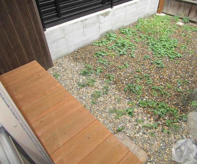 【紫野石龍町20貸家】