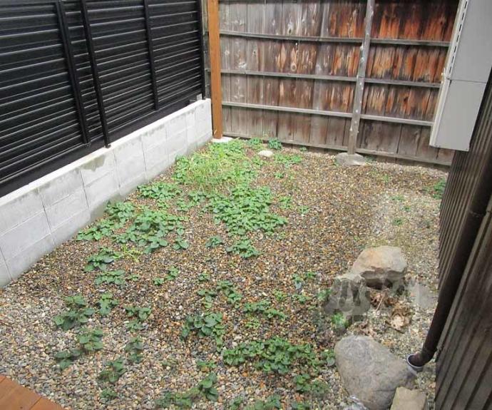 【紫野石龍町20貸家】