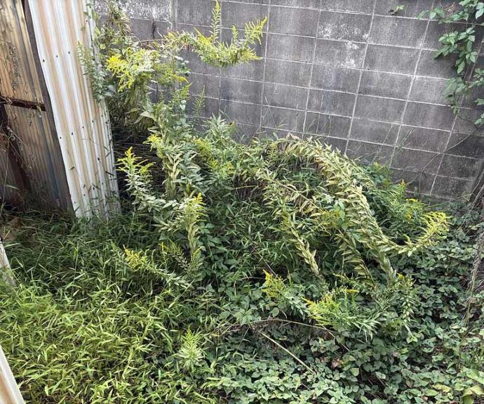 【寺戸町中村垣内貸家】間取