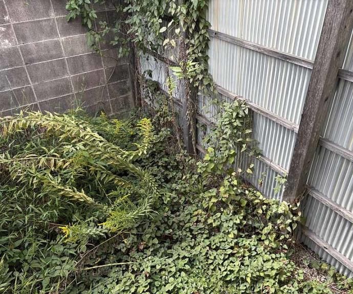 【寺戸町中村垣内貸家】間取