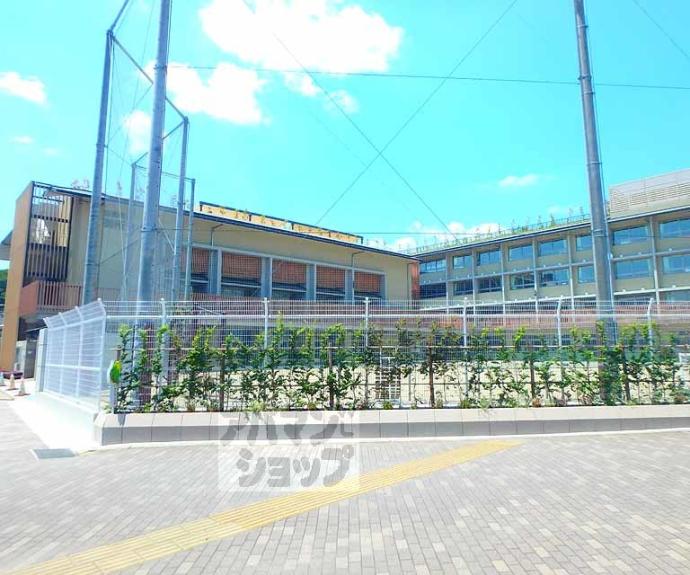 【シエリア京都鴨川二条ザ・テラス】間取