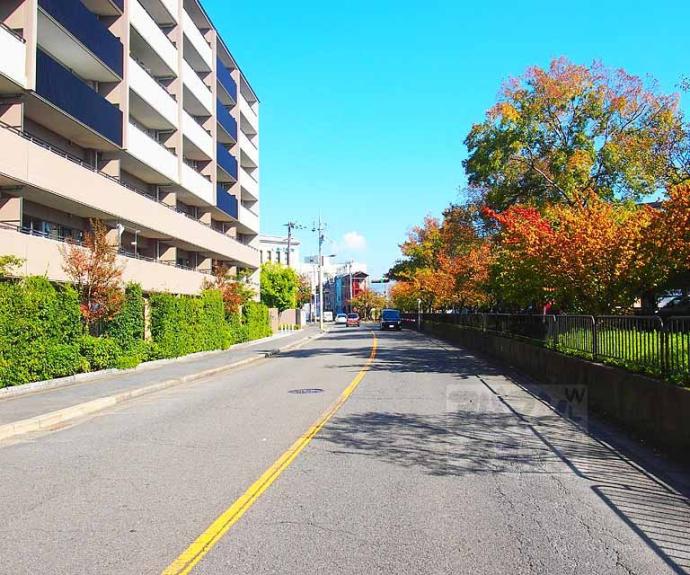 【イニシア梅小路公園】間取