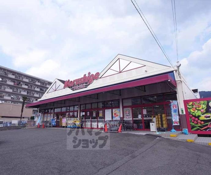 【Ｄ－ｒｏｏｍ白鳳】間取