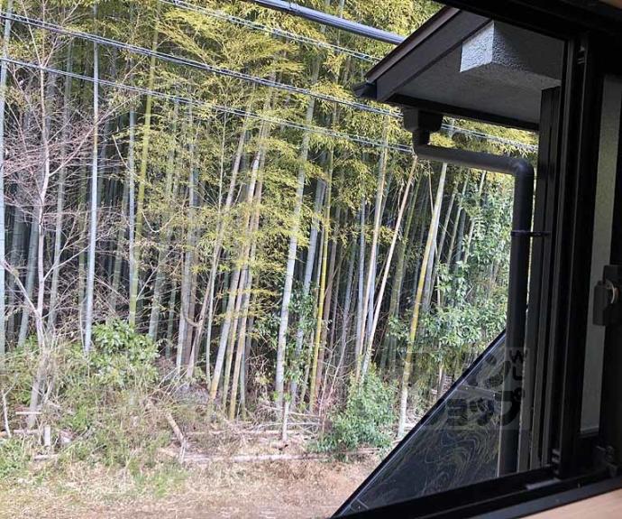 【ｓａｇａｎｏｓｏｕ】