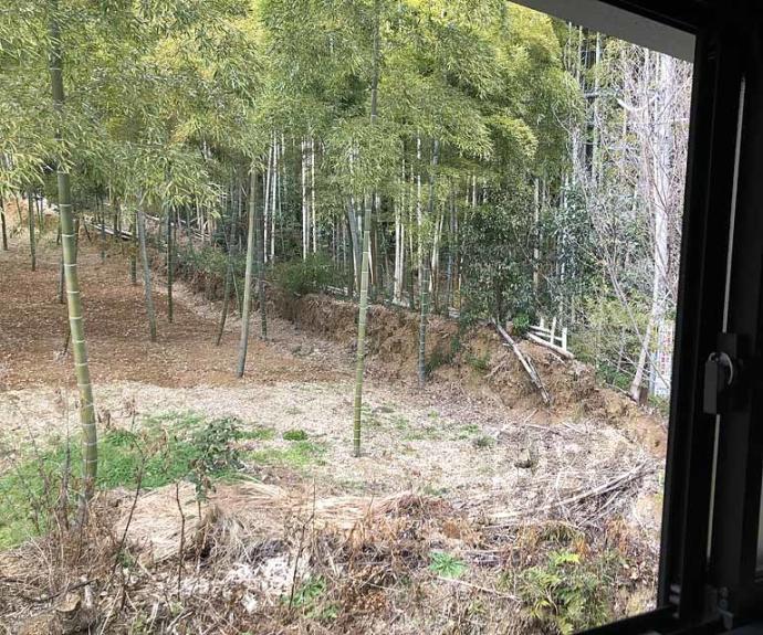 【ｓａｇａｎｏｓｏｕ】