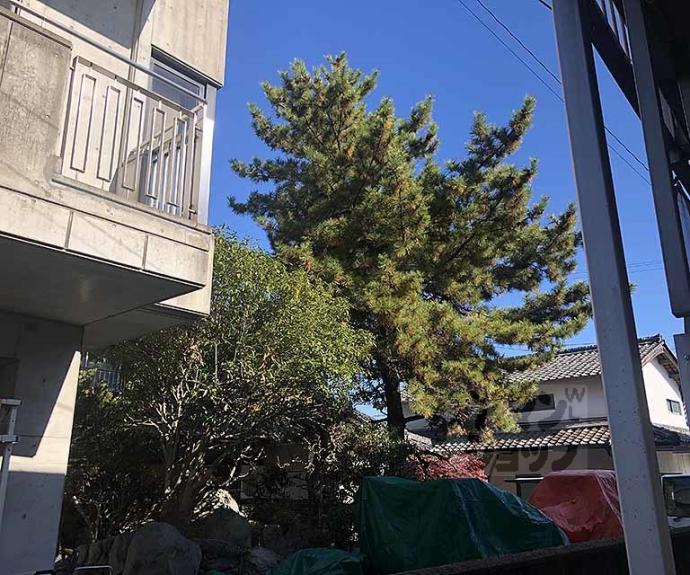 【ハイツ堀ノ内】間取