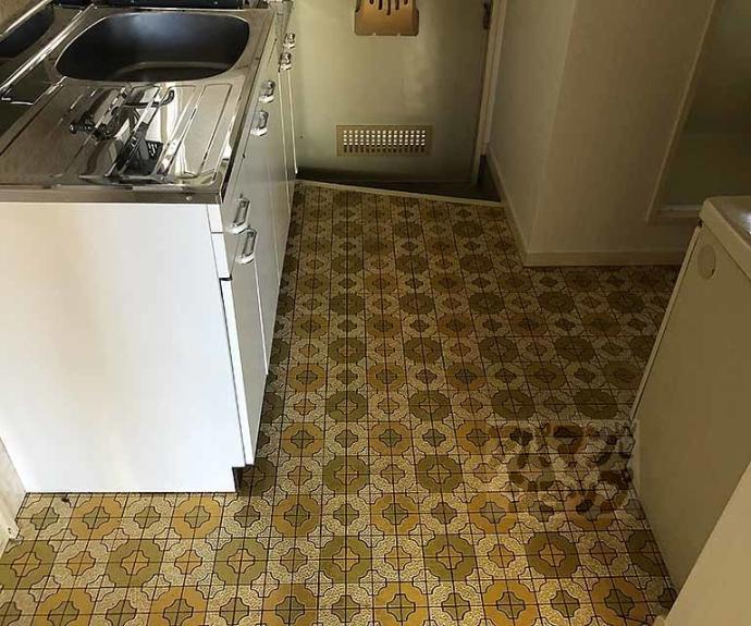 【ハイツ堀ノ内】間取