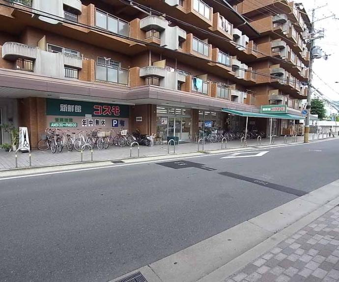 【Ｐａｒｋ　Ｓｉｄｅ　ケヤキ】間取