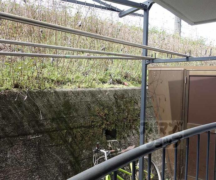 【ｋｏｚｙ６番館】間取