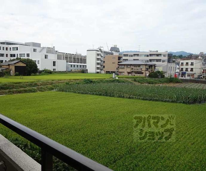 【フロイデ東向日】間取