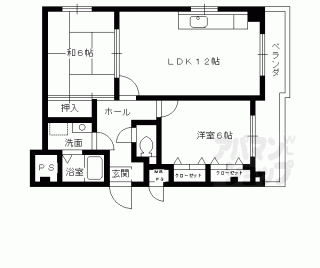 【ルミエール泉】