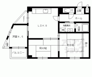 【シェモア１９】