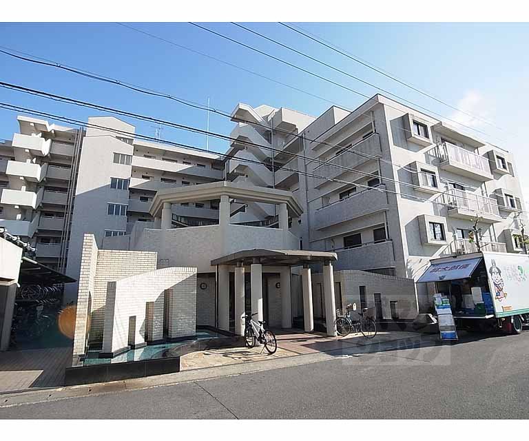 ネバーランド桂