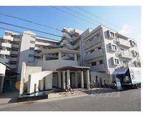 ネバーランド桂：間取図