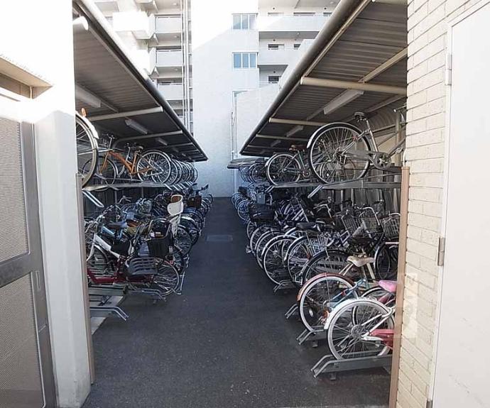 【ネバーランド桂】間取