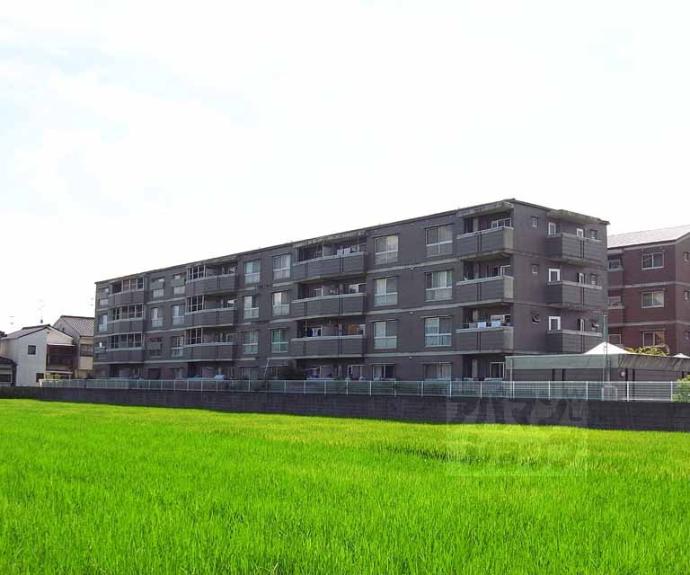 【カーサＩＫＵＳＨＩＭＡ】間取